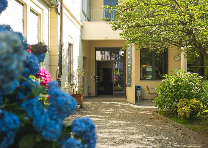 Hotel mit Hund Locarno Youth